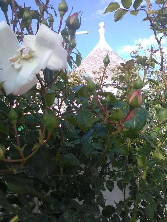 Trulli Di Ivana أوستوني المظهر الخارجي الصورة