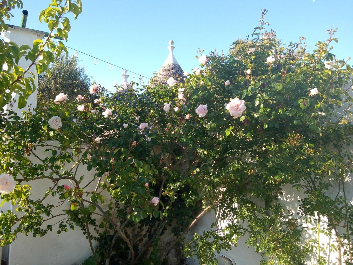 Trulli Di Ivana أوستوني المظهر الخارجي الصورة