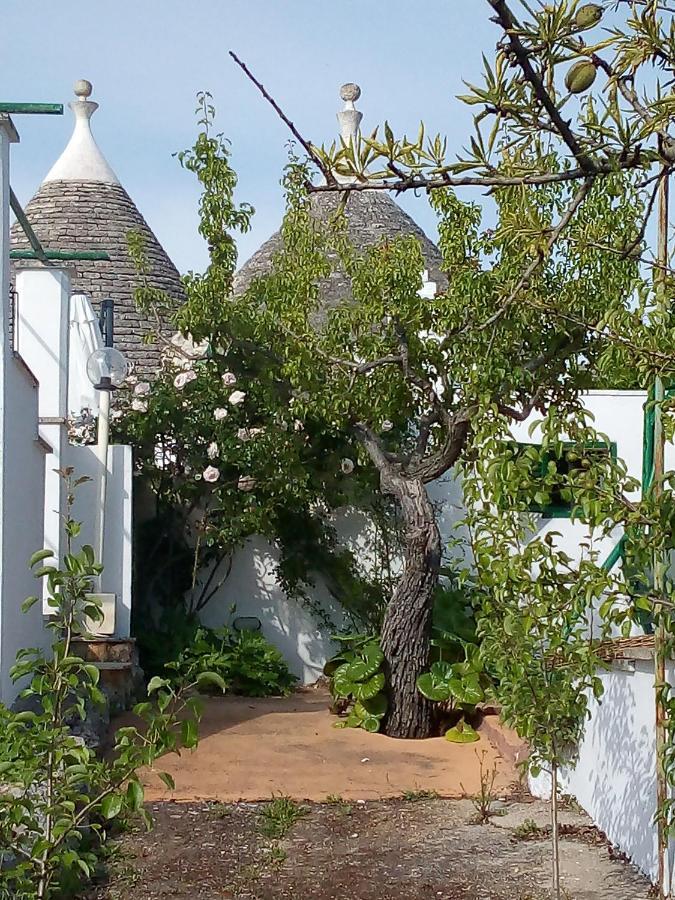 Trulli Di Ivana أوستوني المظهر الخارجي الصورة